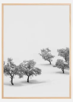 White Carpet Plakat (21x29.7 cm (A4))