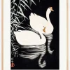 White Chinese Geese Swimming by Reeds Plakat (21x29.7 cm (A4))