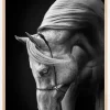 White Stallion Plakat (21x29.7 cm (A4))