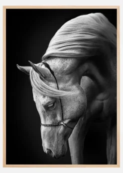 White Stallion Plakat (21x29.7 cm (A4))