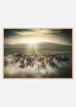 Wild Horses Plakat (21x29.7 cm (A4))