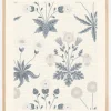 William Morris - Daisy 2 Plakat (21x29.7 cm (A4))