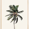 Windy Palm Tree Plakat (21x29.7 cm (A4))