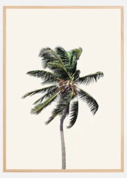 Windy Palm Tree Plakat (21x29.7 cm (A4))