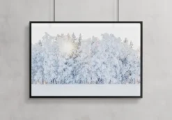 Winter light Plakat (21x29.7 cm (A4))