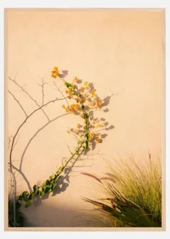 Yellow on Yellow Plakat (21x29.7 cm (A4))