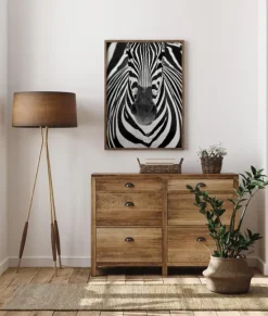 Zebra Plakat (21x29.7 cm (A4))