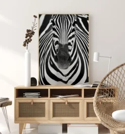 Zebra Plakat (21x29.7 cm (A4))