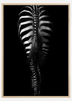 Zebra Tail Plakat (21x29.7 cm (A4))